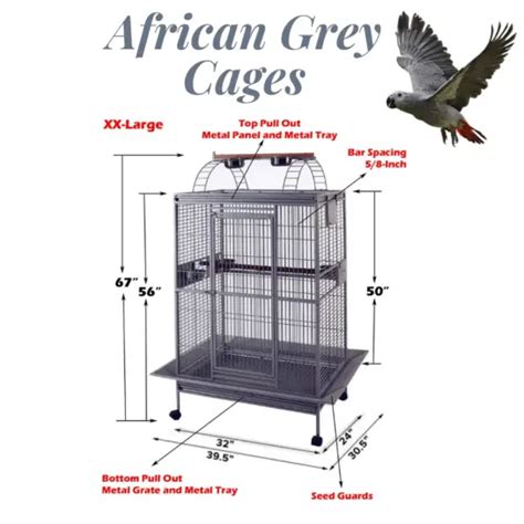 African grey parrot cage - African Grey Parrot