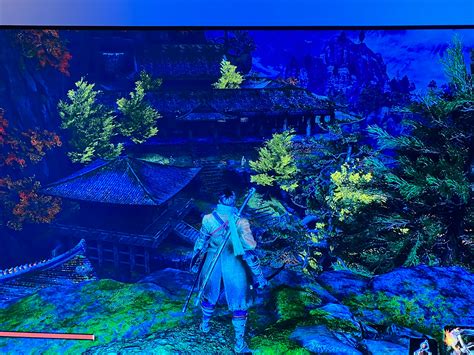 Can’t find holy chapter infested : r/Sekiro