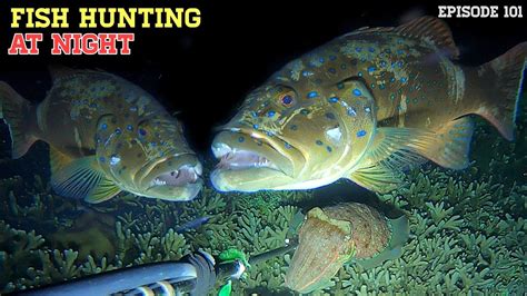 NIGHT SPEARFISHING EPISODE 101 FISH HUNTING AT NIGHT YouTube