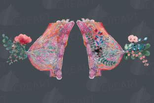 Floral Female Breast Watercolour Anatomy Graphic By CreartGraphics