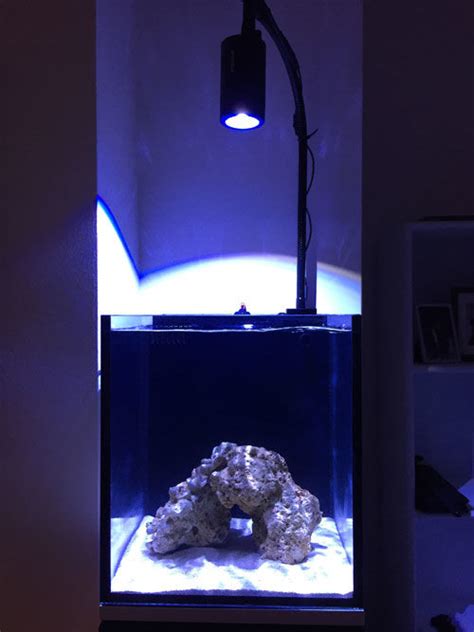 New Setup Tank Shots Nano Reef Community