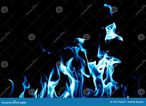 Blue Flame Fire On Black Background Stock Image Image Of Pattern