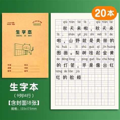 Cahier D Exercices Tian Zige Pinyin Pour L Ves Du Primaire Cahier De