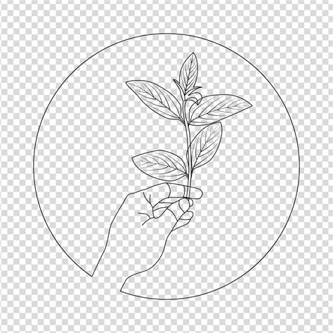 hand drawn plants, plant drawing vine isolated vector art on white background 16839104 Vector ...