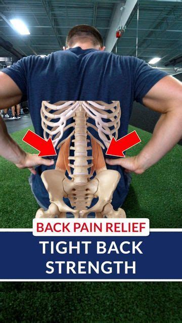 Lower Back Pain Exercises Gluteus Medius Walking Exercise Low Back