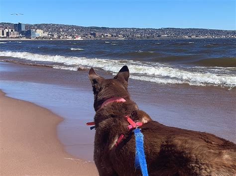 13 Hidden Gems in Duluth, MN That Locals Love to Visit – Journey