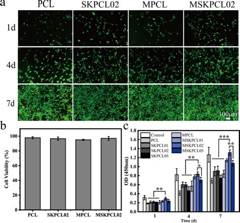 Biocompatibility Of Mc3t3 E1 Cells On The Surface Of Pcl Skpcl02 Mpcl