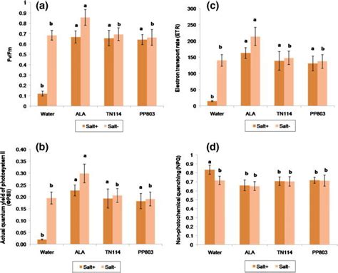 The Chlorophyll Fluorescence Parameters Maximum Quantum Yield Fv Fm