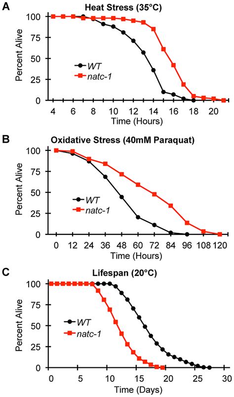 Natc Mutations Increase Resistance To Heat And Oxidative Stress A