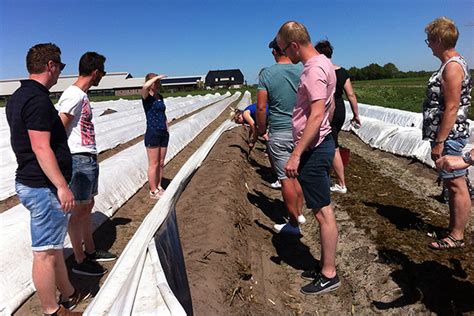 Nieuw Amsterdam Aspergeboerderij Sandur Steven Korf Flickr