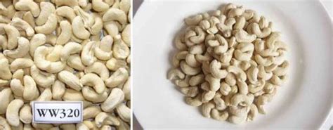 Raw Ivory W320 Cashew Nut Grade WW320 At Rs 750 Kg In Surat ID