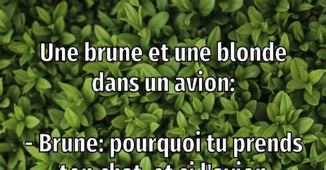 Une Brune Et Une Blonde Dans Un Avion Blagues Et Les Meilleures