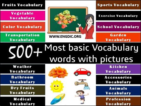 500+ Vocabulary Words of English With Pictures of Each