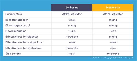 Berberine Vs Ozempic Dr Brian Yeung Nd