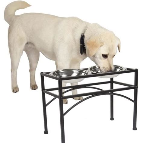 Porte Gamelles Sur Lev E En Inox Pour Petit Grand Chien Choit Chat