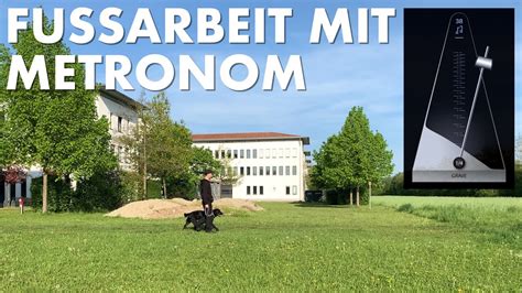 Cedric der Labrador 159 Fußarbeit mit Metronom YouTube