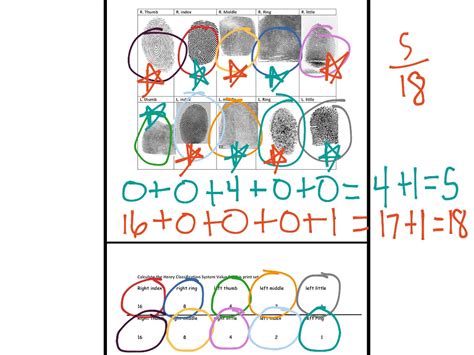 Henry Classification System Science Showme