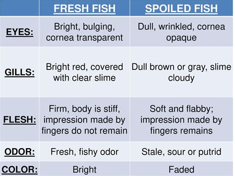 What Are The Characteristic Of A Fresh And Spoiled Fish