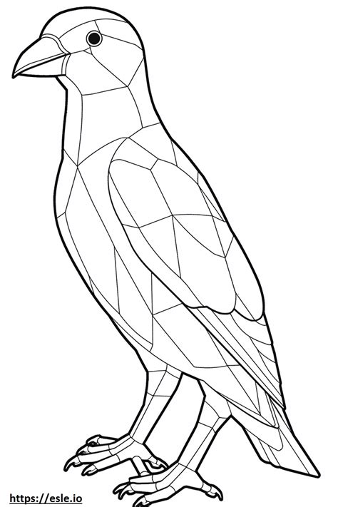 House Finch full body coloring page