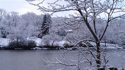 Free Images Tree Branch Snow Winter Flower Lake Frost River