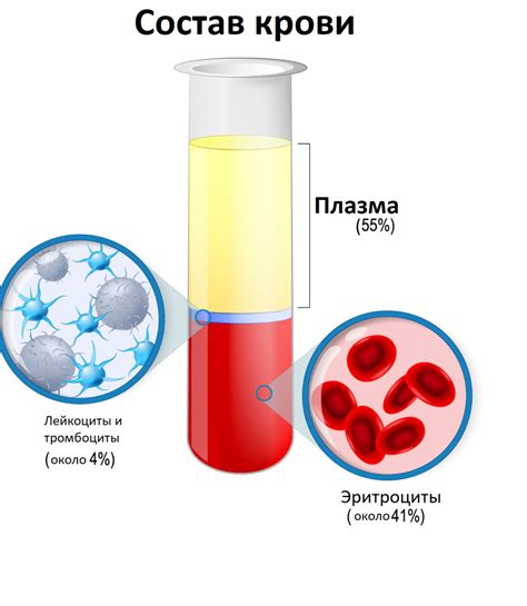 Клинический анализ крови - diagnozmed.ru