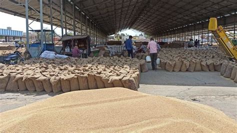 Over Lakh Matric Tonne Of Wheat Procured In Punjab During Ongoing