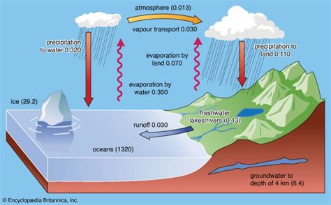 Hydrosphere - Cycle, Evaporation, Precipitation | Britannica