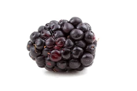 Berry Hari Stock Photos Royalty Free Berry Hari Images Depositphotos