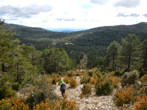 De Fredes Al Tossal Dels Tres Reis Castell N