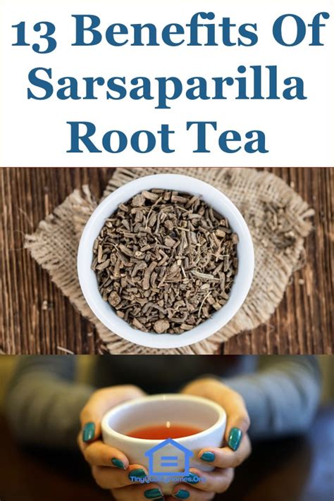 13 Health Benefits Of Sarsaparilla Root Tea