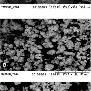 Sem Images Of A Hia B Plga And C Hia Encapsulated Plga