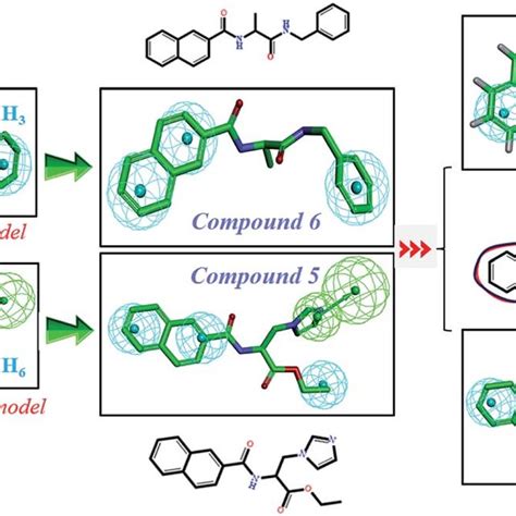 Design of novel SE inhibitors (compound 6), CYP51 inhibitors (compound ...