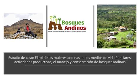 Contribuciones Del Programa Bosques Andinos A La Formaci N En Igualdad