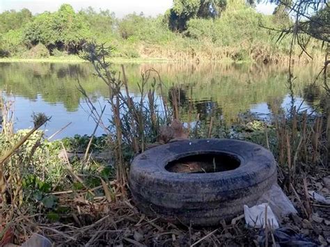 Alerta Imss De Infecciones Por Agua Estancada En Reynosa Exc Lsior