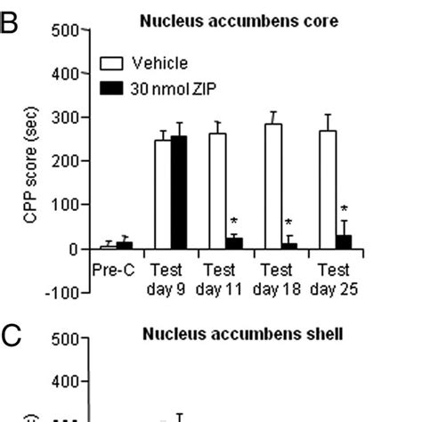 Inhibition Of Pkm Activity By Zip Injections Into Nucleus Accumbens