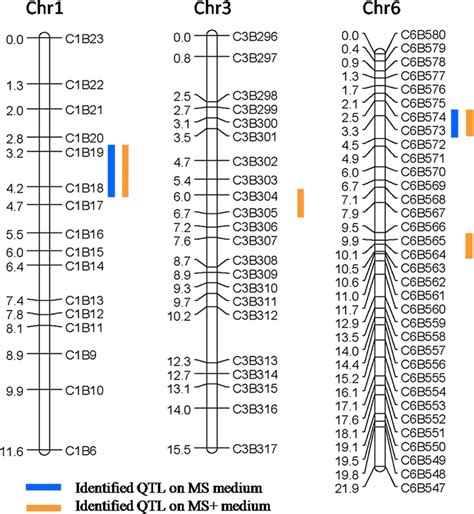 Distribution On Genetic Linkage Maps Of Qtl Identified For Regeneration