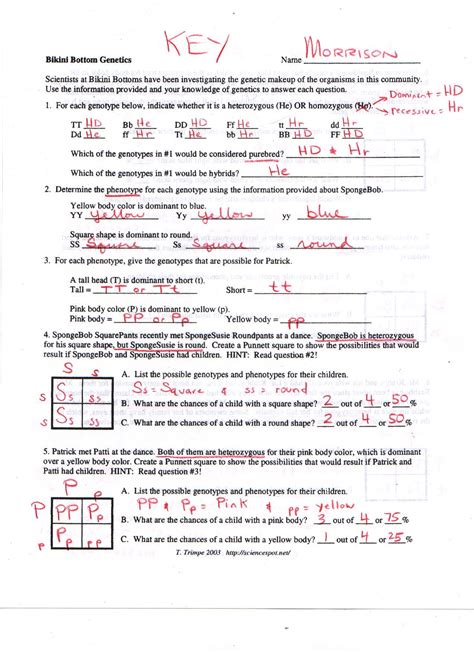 Genetics Punnett Squares Practice Worksheets