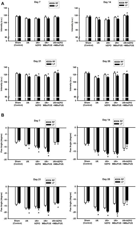 Two Gait Analysis Parameters Paw Intensity A And Paw Angle B Were