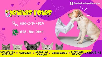 Veterinaria VETERINARIA PATITAS ROTAS en Ciudad Juárez Directorio de