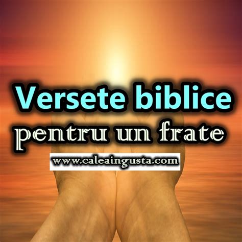 25 de Versete biblice despre a dărui Calea Ingusta