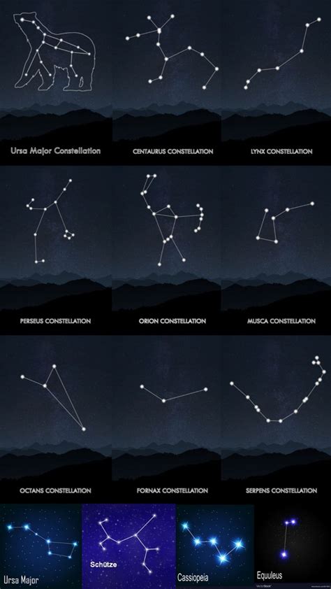 Pin By Tatara On 2ASTROLOGY Star Constellations Constellations Ursa