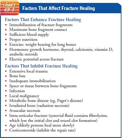 Fracture Healing and Complications (Early and Delayed)