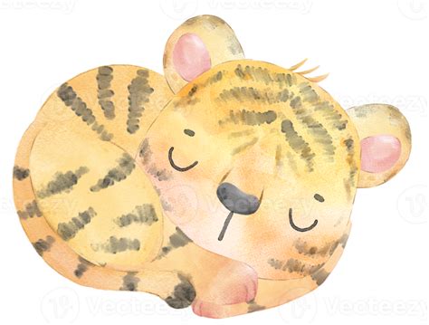 Free cute happy playful baby tiger watercolour kid animals wildlife cartoon painting ...