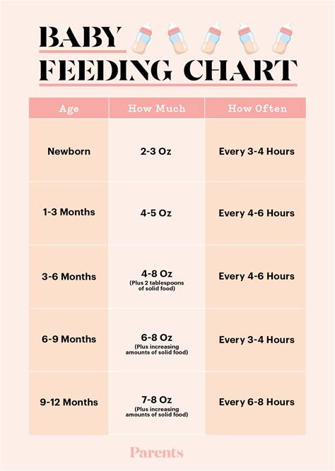 Newborn Feeding Chart Printable - Educational Chart Resources
