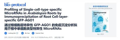 Protocol For Immunoprecipitation Analysis Of Arabidopsis Specific