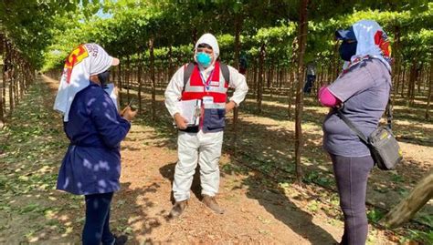 Ica M S De Mil Agricultores Fueron Incorporados A Planilla Tras Paro