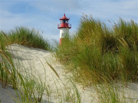 Sylt Naturaleza Arena El Foto Gratis En Pixabay Pixabay