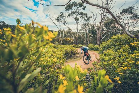 mountain bike trails  victoria flow mountain bike