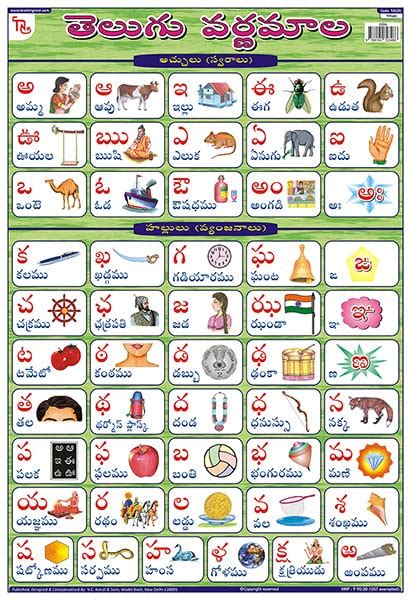 tac teachingnest telugu alphabet chart laminated  cm