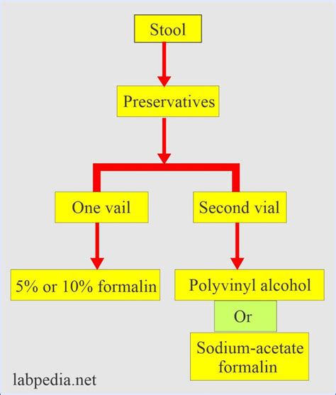 Stool Examination Part 2 Stool Concentration Methods Stains Handling And Preservatives